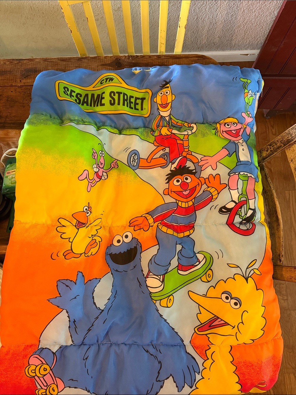 Vintage Sesame Street Rainbow Character sleeping bag 90's